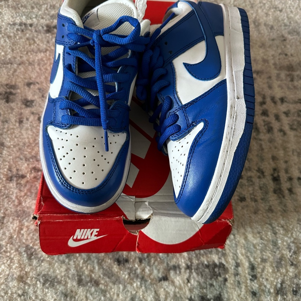 Nike Dunk